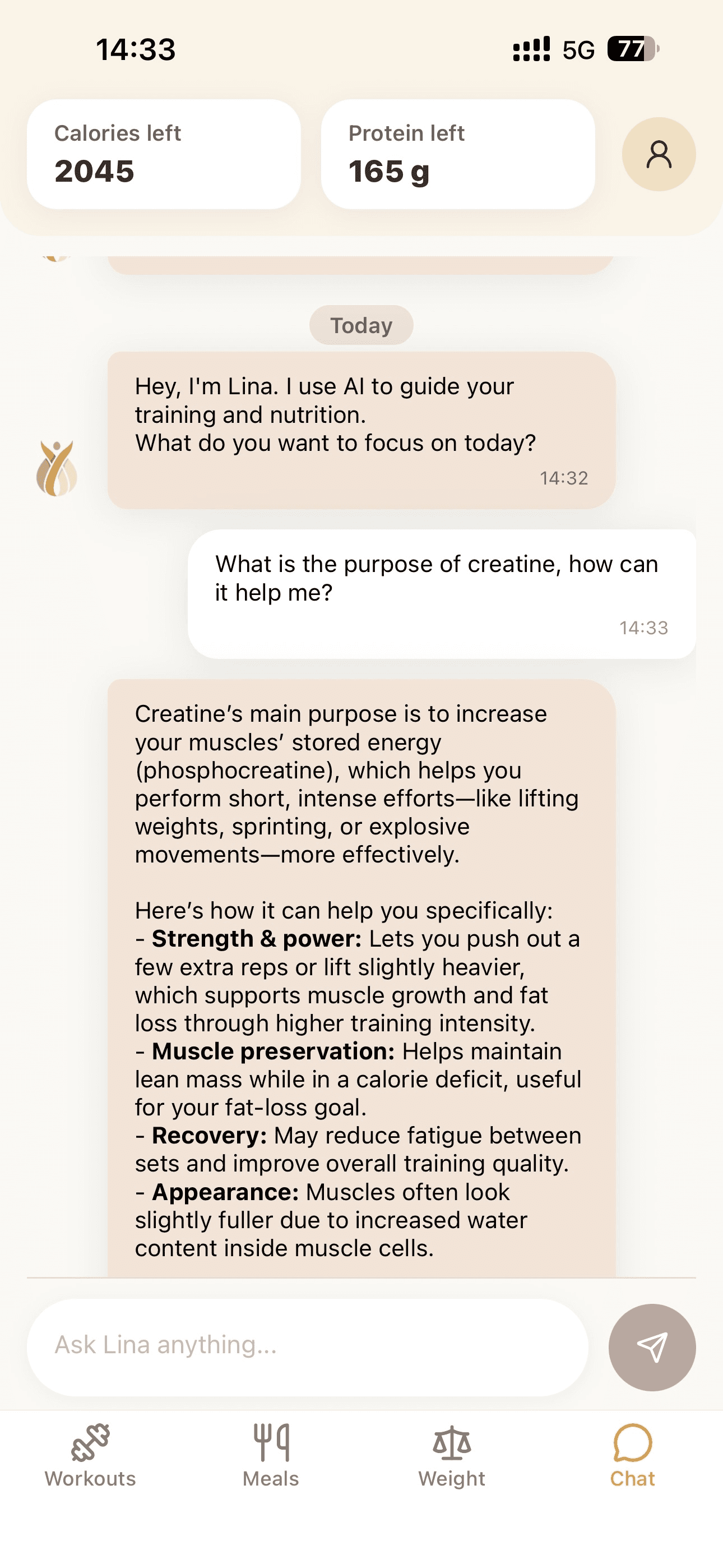 Chat conversation with LINA.