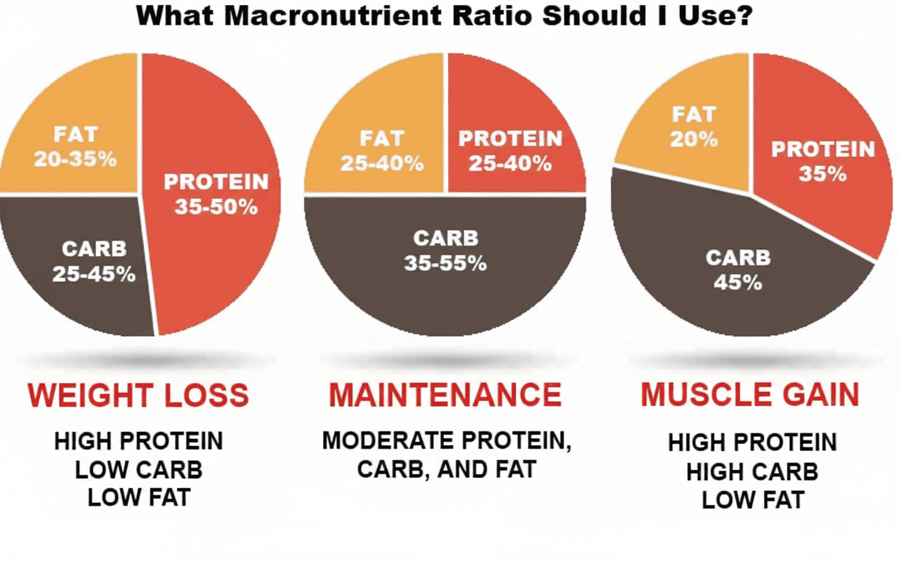 Macro split overview for fat loss and muscle retention